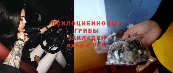 твердый Новозыбков