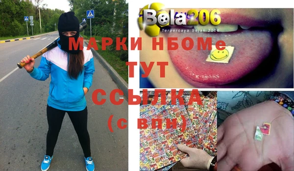 твердый Новозыбков
