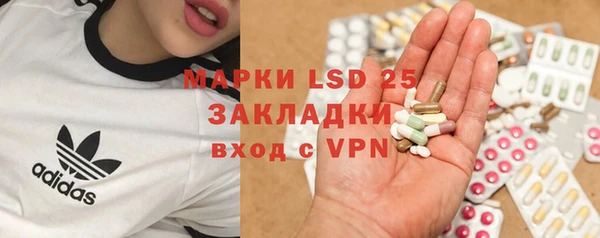 твердый Новозыбков