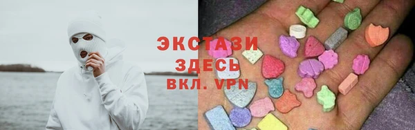 твердый Новозыбков
