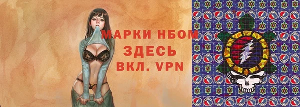 твердый Новозыбков