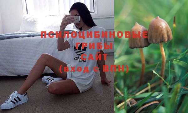 mdma Новодвинск