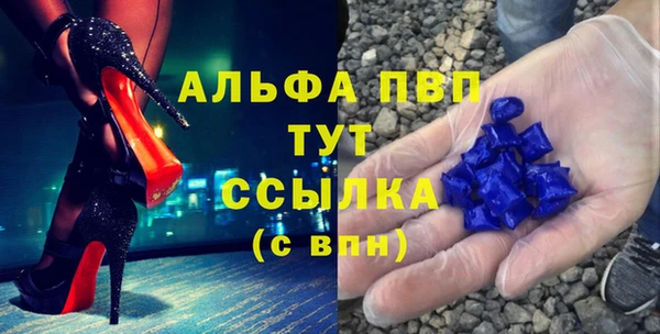 твердый Новозыбков