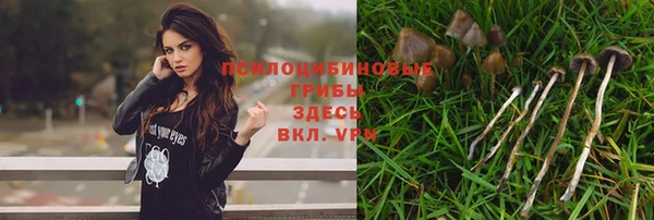 mdma Новодвинск
