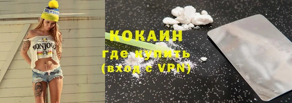 твердый Новозыбков