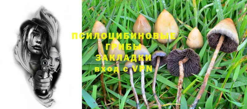 mega онион  как найти   Сатка  Галлюциногенные грибы Psilocybe 