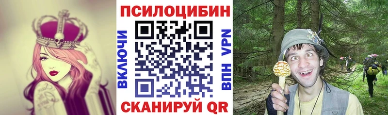 Псилоцибиновые грибы Cubensis Сатка