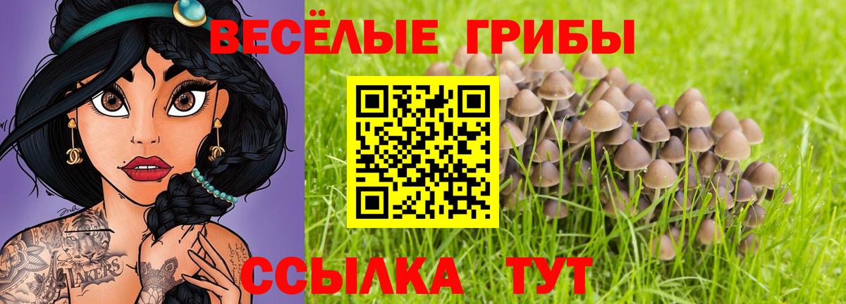 Псилоцибиновые грибы мухоморы  Псилоцибиновые грибы мицелий  Вход с VPN  Сатка 