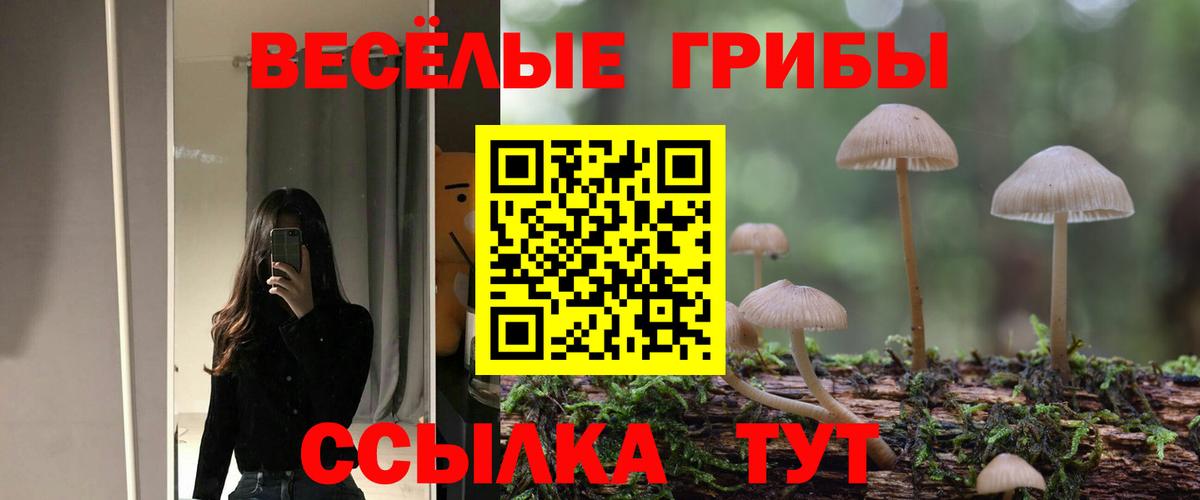 Галлюциногенные грибы Cubensis Сатка