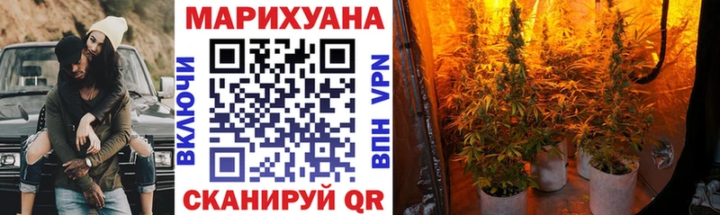 как найти закладки  Сатка  Бошки марихуана семена 