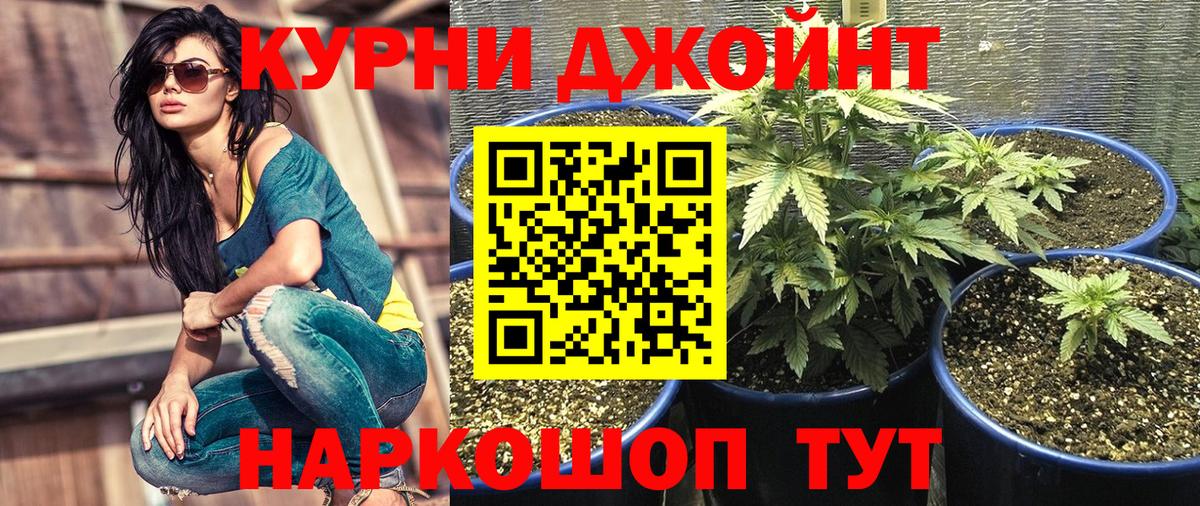 Бошки Шишки VHQ  МАРИХУАНА OG Kush  Вход с VPN  Сатка  Марихуана SATIVA & INDICA 